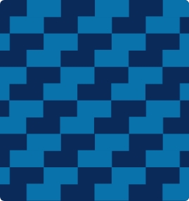 Steward logo pattern icon